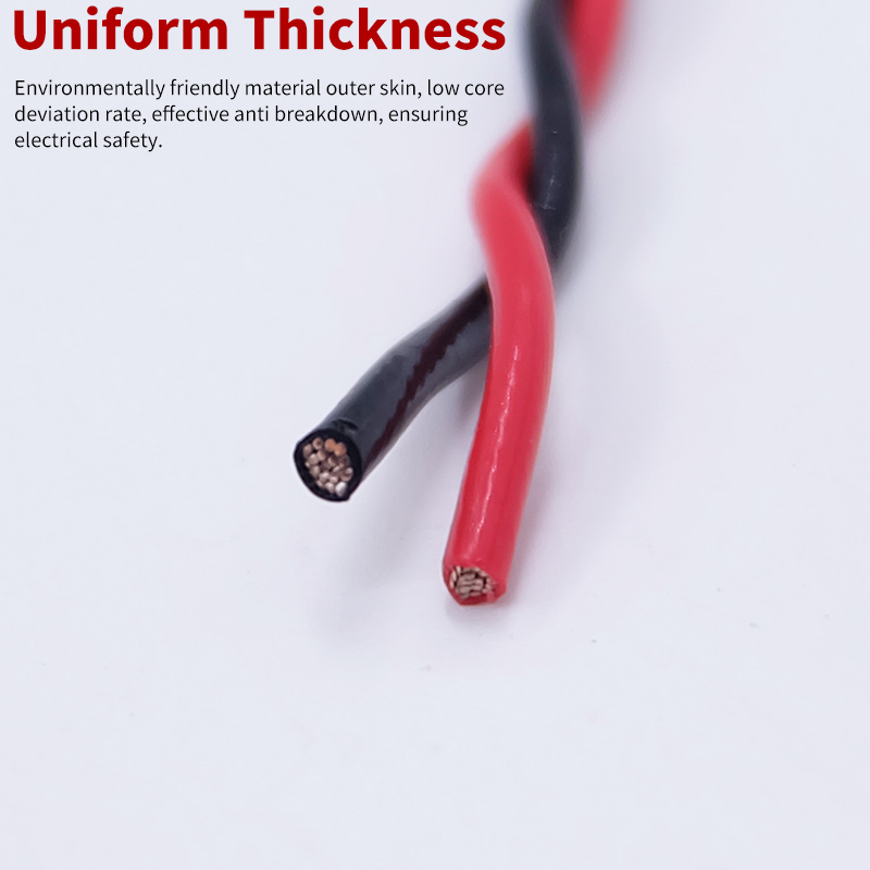 PTFE Wire AFS200 2pins 26/25/2 - Diy Electronics Audio บทวิจารณ์และราคา