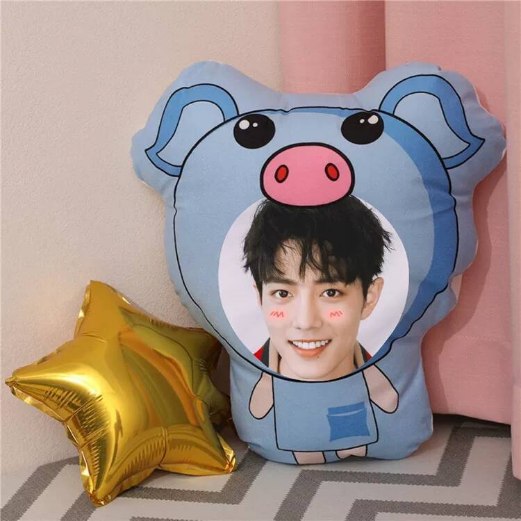 Xiao Zhan Custom Photo DIY Plu - Diy Q บทวิจารณ์และราคา