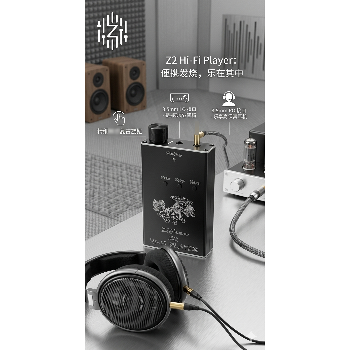 Zishan Z2 hifi DSD hard soluti - Diy Electronics Audio บทวิจารณ์และราคา